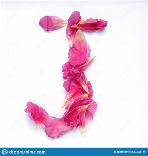 Alphabet Made Of Peony Petals Letter J Layout For Design Stock Image