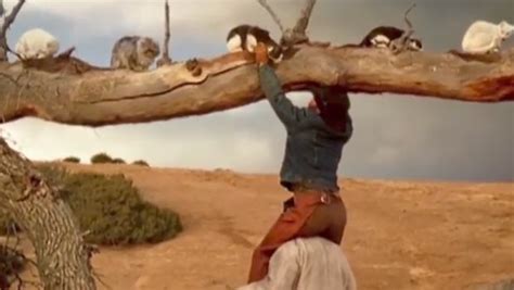 Cat Herders Is Still An Iconic Ad Nearly Twenty Years After Debut