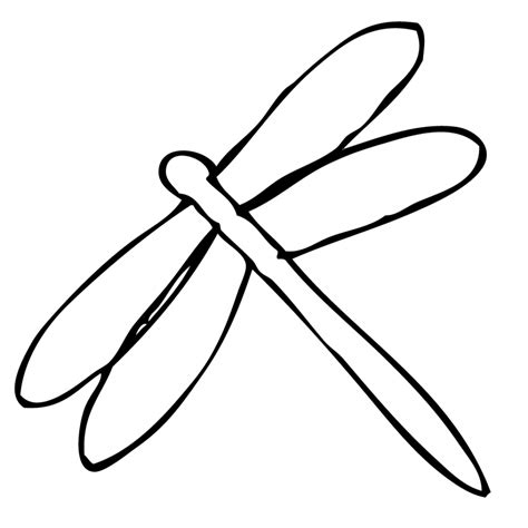 Dragonfly Line Drawing At Getdrawings Free Download