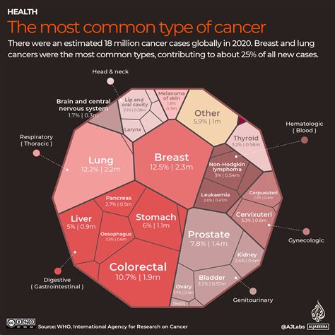 Infographic A Global Look At Cancer