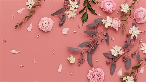 Pink Flower Beauty Color Flora Jooinn Hd Wallpaper Pxfuel