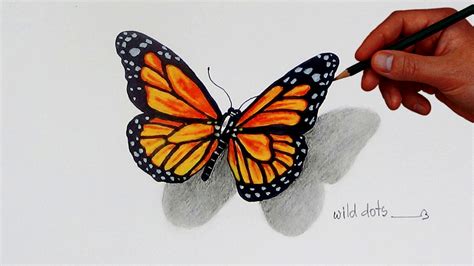 Monarch Butterfly Drawing Step By Step Drawing Ideas