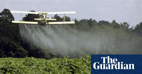 Pesticide Residues Found In 70 Of Produce Sold In Us Even After