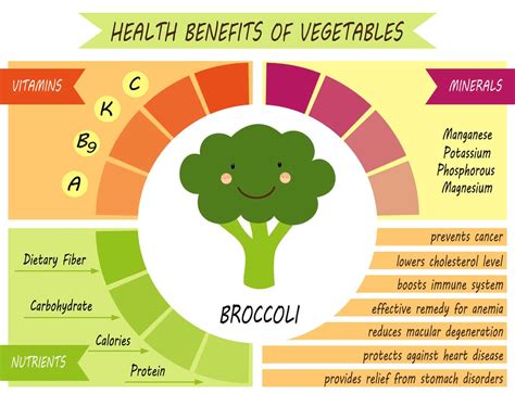 Broccoli 101 Everything You Need To Know About This Superfood