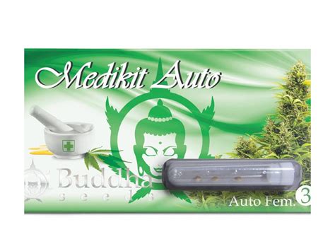 Buddha Seeds Medikit Autoflowering Feminizovaná Autoflowering Seedbankcz