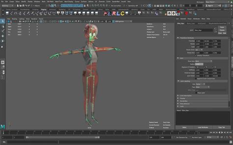 What Is 3d Rigging In Animation 4 Major Steps