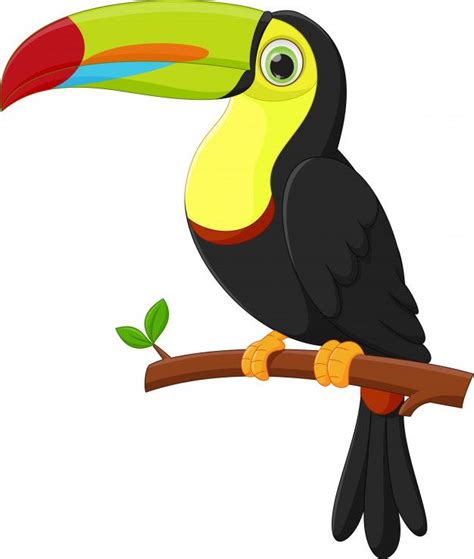 Desenho de pássaro tucano bonito Vetor P... | Premium Vector #Freepik #