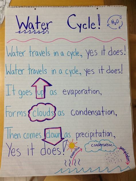 Water Cycle Notes Earth Science In 2020 Water Cycle First Grade