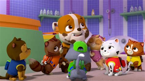 cat chase gallery pups save the runaway kitties paw patrol wiki fandom