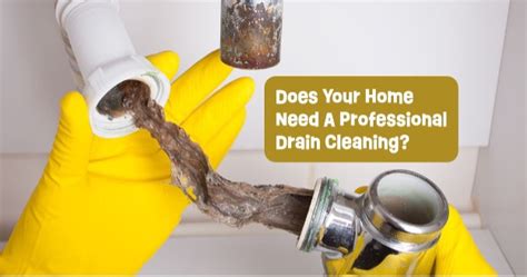Does Your Home Need A Professional Drain Cleaning Blue Ash Plumbing