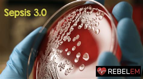 Some patients progress to failure in the physiologic function of. Sepsis 3.0 - REBEL EM - Emergency Medicine Blog
