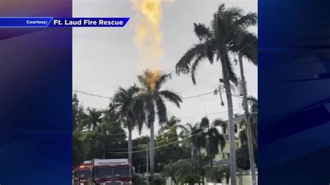 Crews Repair Propane Gas Leak In Fort Lauderdale Wsvn 7news Miami News Weather Sports