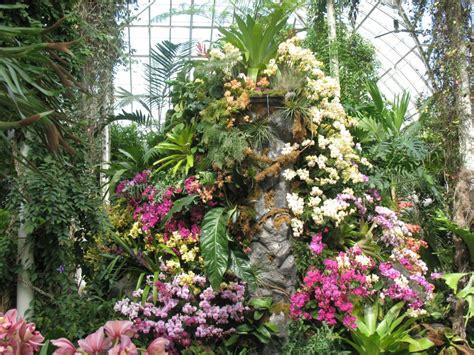 One farm is underground in tribeca, manhattan. 'Orchidelirium'! New York Botanical Garden's Orchid Show ...