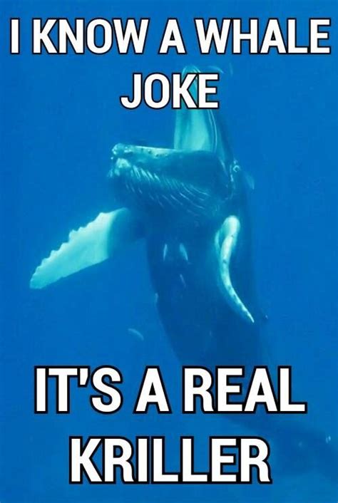 Whale Shark Jokes
