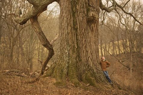 Remarkable Trees Of Virginia