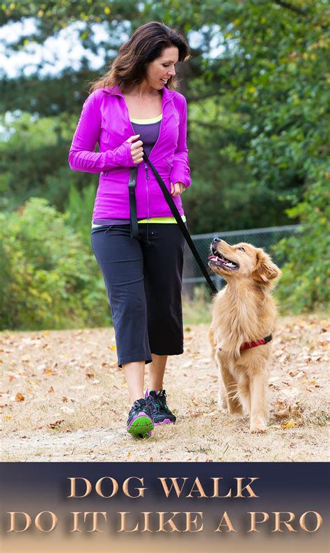 They love to walk quietly beside you, unless they are loading or unloading, standing or going down. Dog Walk - Do It Like a Pro - Quiet Corner