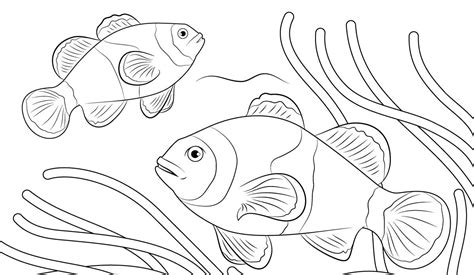 Anda juga bisa menulis di kolase dengan menggunakan spidol pulpen cat atau krayon. 88 Kolase Gambar Ikan Dengan Bahan Alam HD - Kumpulan ...