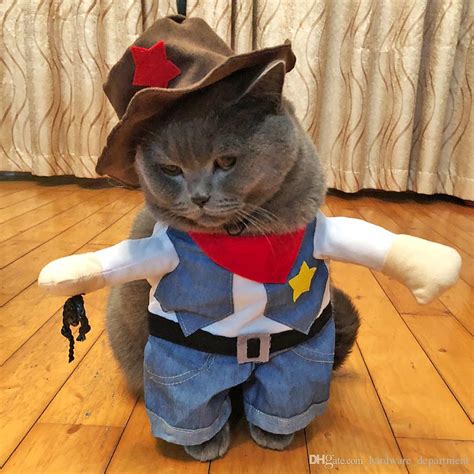 Puppy Cat Clothes Costumes Funny Cats Small Dogs Kitten Cowboy Cosplay