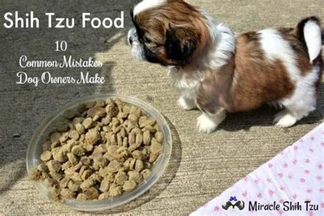 A dog who respects you will do what you say and will stop what he's doing when you tell him no. read more about shih tzu training. Shih Tzu Food: 10 Common Mistakes Dog Owners Make