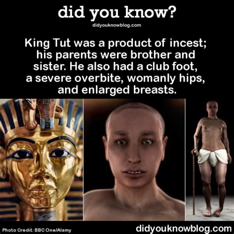 「king Tut Facts」のアイデア探し Pinterest