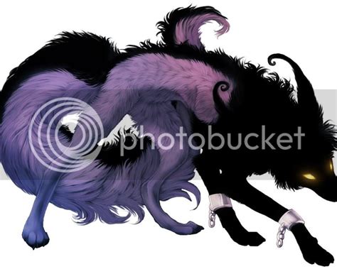 Purple Wolf In Black Photo By Sakory Photobucket