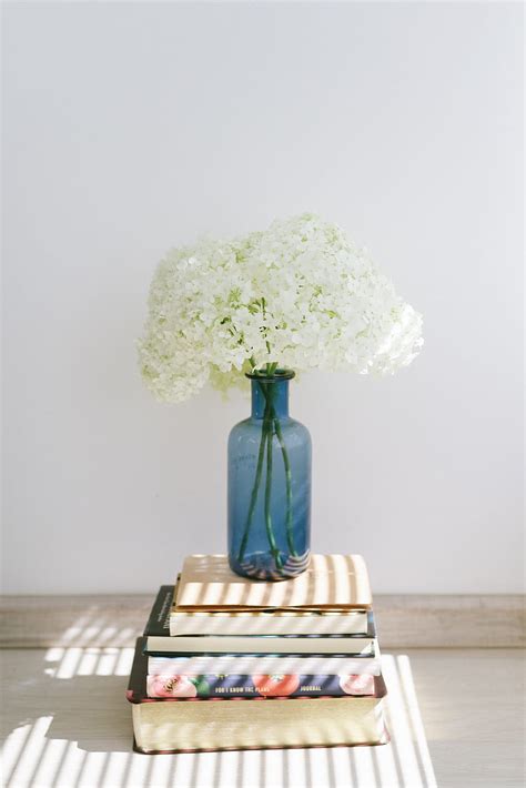 Hydrangea Flowers Vase Books Hd Phone Wallpaper Peakpx
