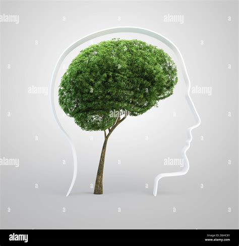 Brain Shaped Tree Artwork Stock Photo Alamy