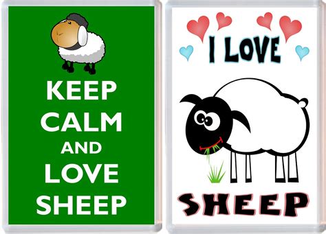 Keep Calm And I Love Sheep 2 Pack Jumbo Fridge Magnet Souvenir T