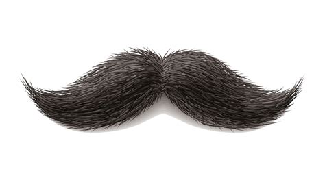 Moustache Png Image Png All Png All