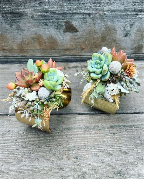 Pin On Westwind Succulents
