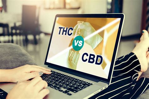 Cbd Vs Thc Explaining The Endocannabinoid System