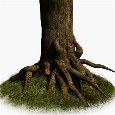 Tree Root Trunk 3d Model