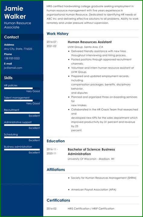 Best Resume Examples 2024 For Remote Jobs - Elga Nickie