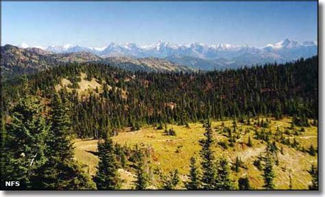 Flathead National Forest