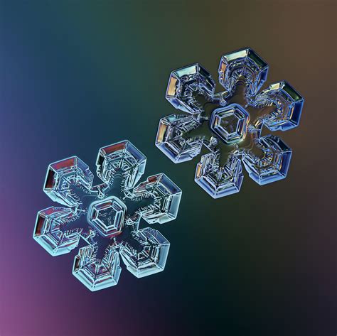 The Magic Of Snowflakes Captured Using Macro Photography Snowflakes