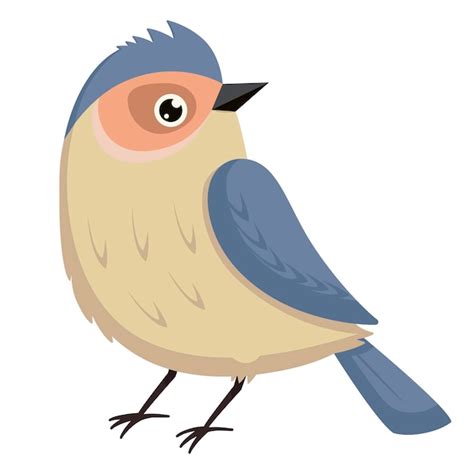 Premium Vector Cute Cartoon Bird Vector Illustration