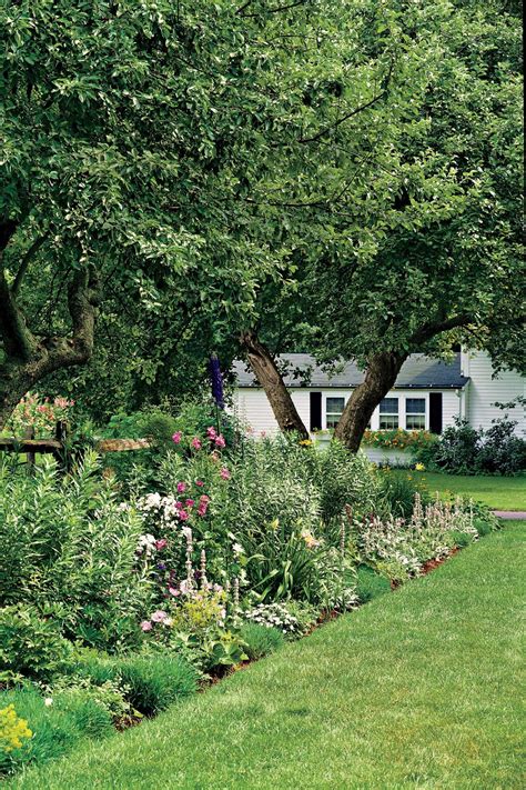 9 Ways To Use Plants To Create Privacy In Your Yard Privacy