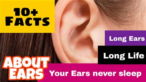 Fun Facts About Ears Shocking