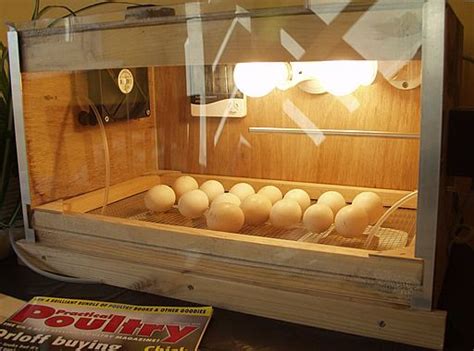 Next snip the end of an old adaptor (some called it a transformer), 120v input 12v dc output, and wire it to an old pc fan. Homemade Incubator | Incubadora de huevos, Incubadora casera