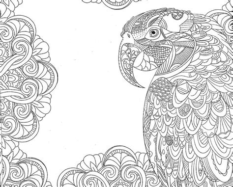 Download tropical parrot coloring colorir | Coloring pages, Adult ...