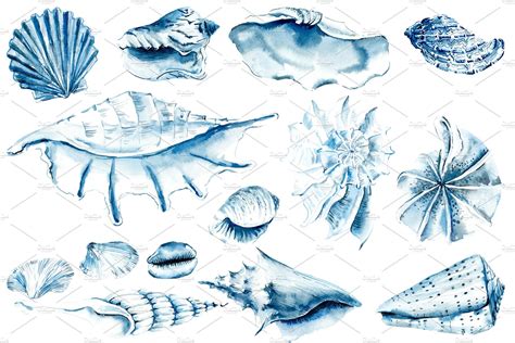 Watercolor Blue Sea Shells With Images Watercolor Sea Shell