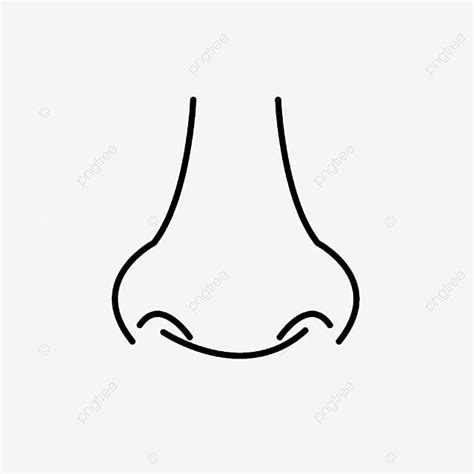 Hidung Menggambar Garis Fitur Wajah Hidung Panca Indera Hidung