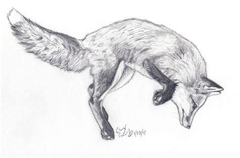 Fox Jump Sketch By Silvercrossfox On Deviantart