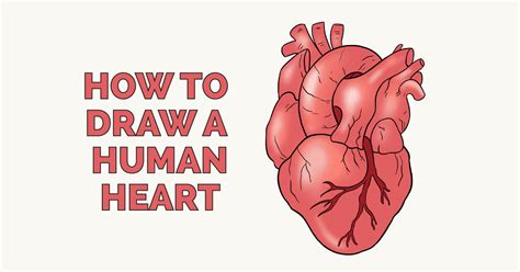 How To Draw A Heart Sketch Yuderma