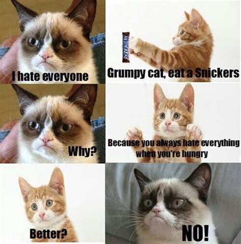 Four Different Types Of Grumpy Cats With Captions
