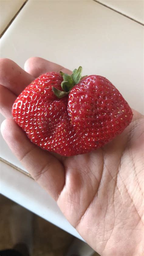 Grabbed A Random Strawberry Ive Never Been So Confused Before R