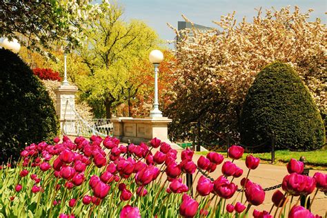 Where To See Spring Flowers In Boston Gardens And Blooms