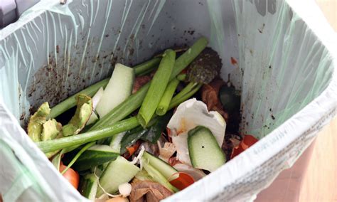 Guide To Commercial Food Waste Disposal In The Uk Cheaperwaste