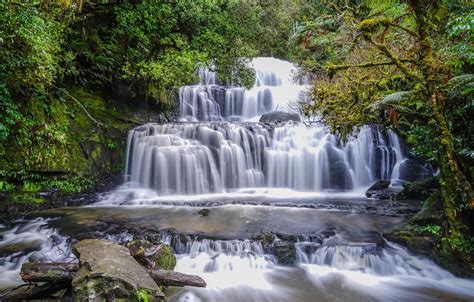 Wallpaper Forest Waterfall New Zealand Cascade New Zealand