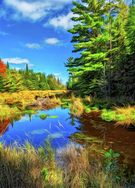 O Canada Autumn On The Canadian Shield 4 Paint Photograph By Steve